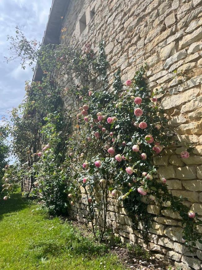 Maison Terracotta, Le Calme Aux Portes De Poitiers Saint-Julien-l'Ars Exterior foto